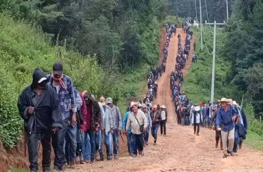 Esclavizan grupos delincuenciales a 500 jóvenes en Tierra Caliente de Guerrero; familias piden ayuda para rescate