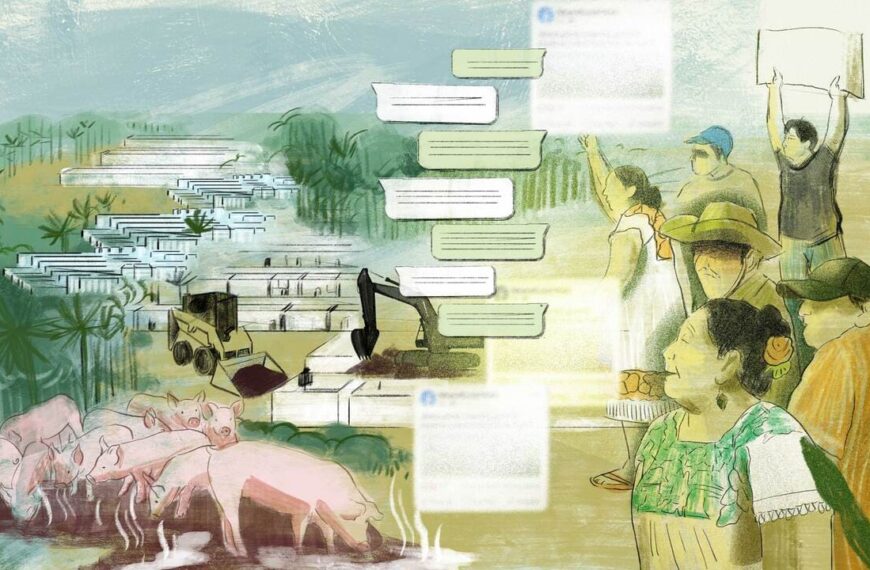Crecen ataques digitales y criminalización contra quienes denuncian daños ambientales y pérdida de selva en Yucatán
