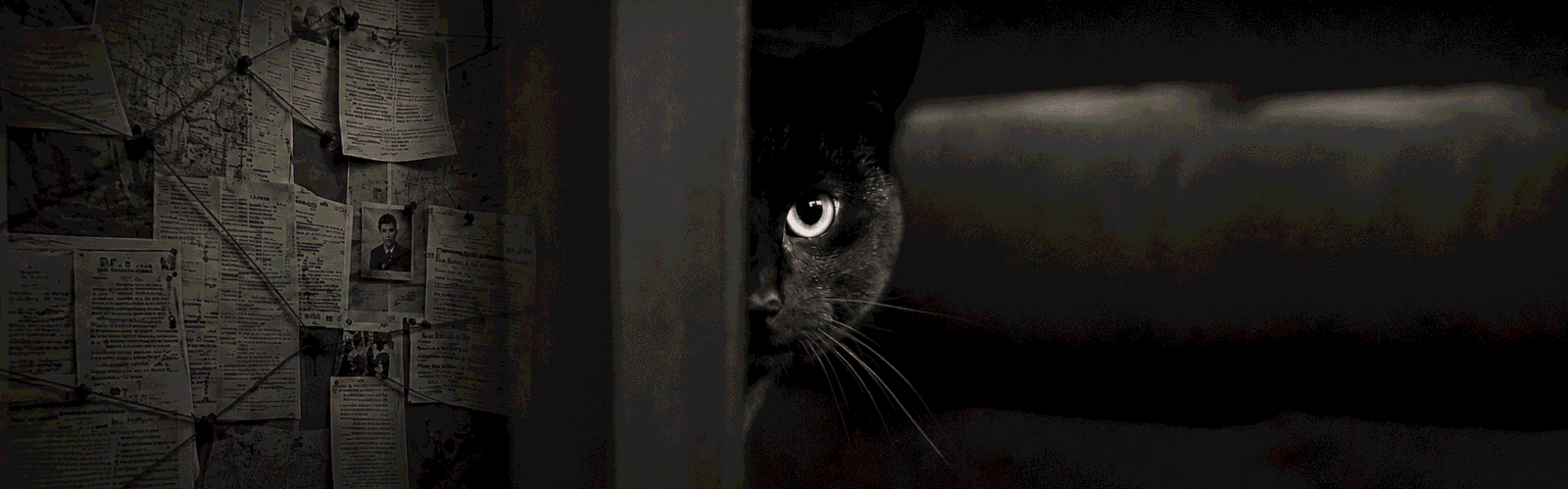 Hay Gato Encerrado.com